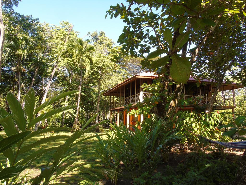Bed and Breakfast Punta Preciosa Puerto Jiménez Zewnętrze zdjęcie